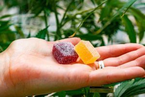 thc edibles